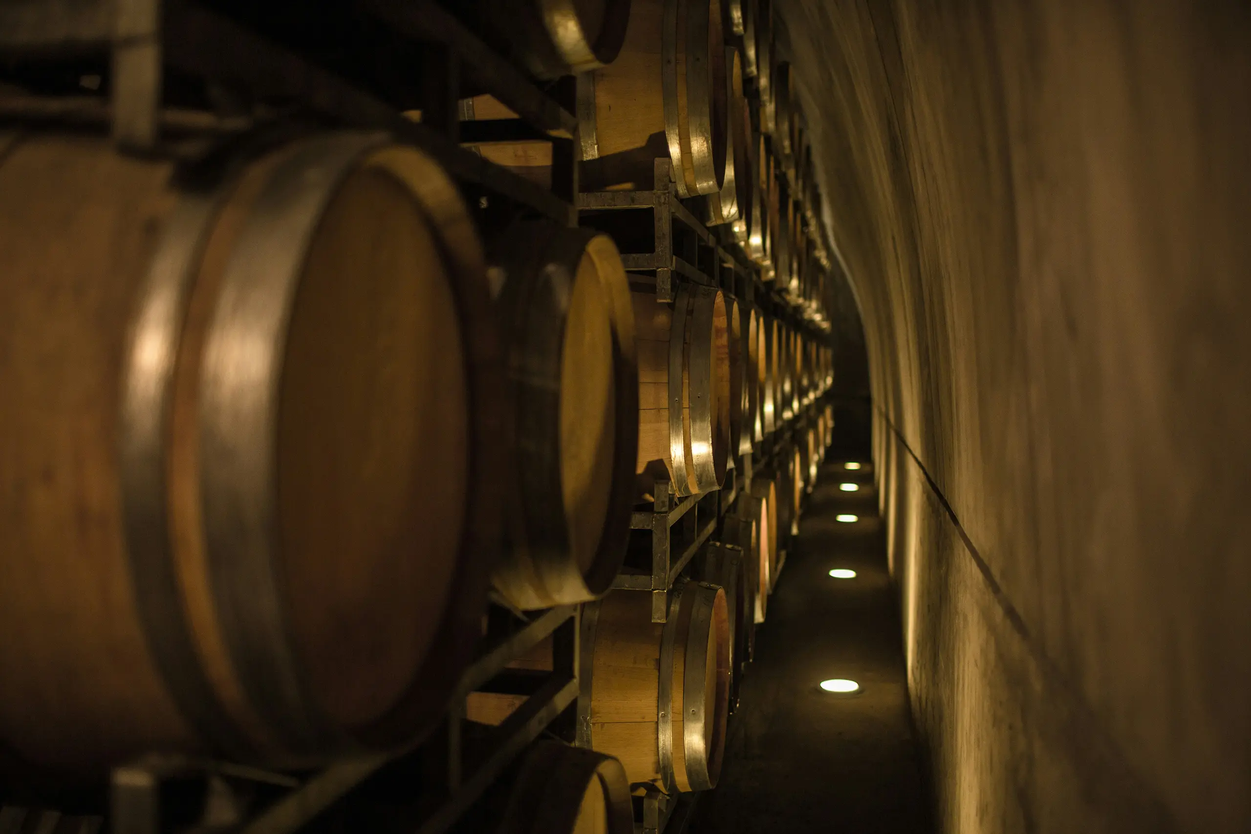 argentina wine barrels