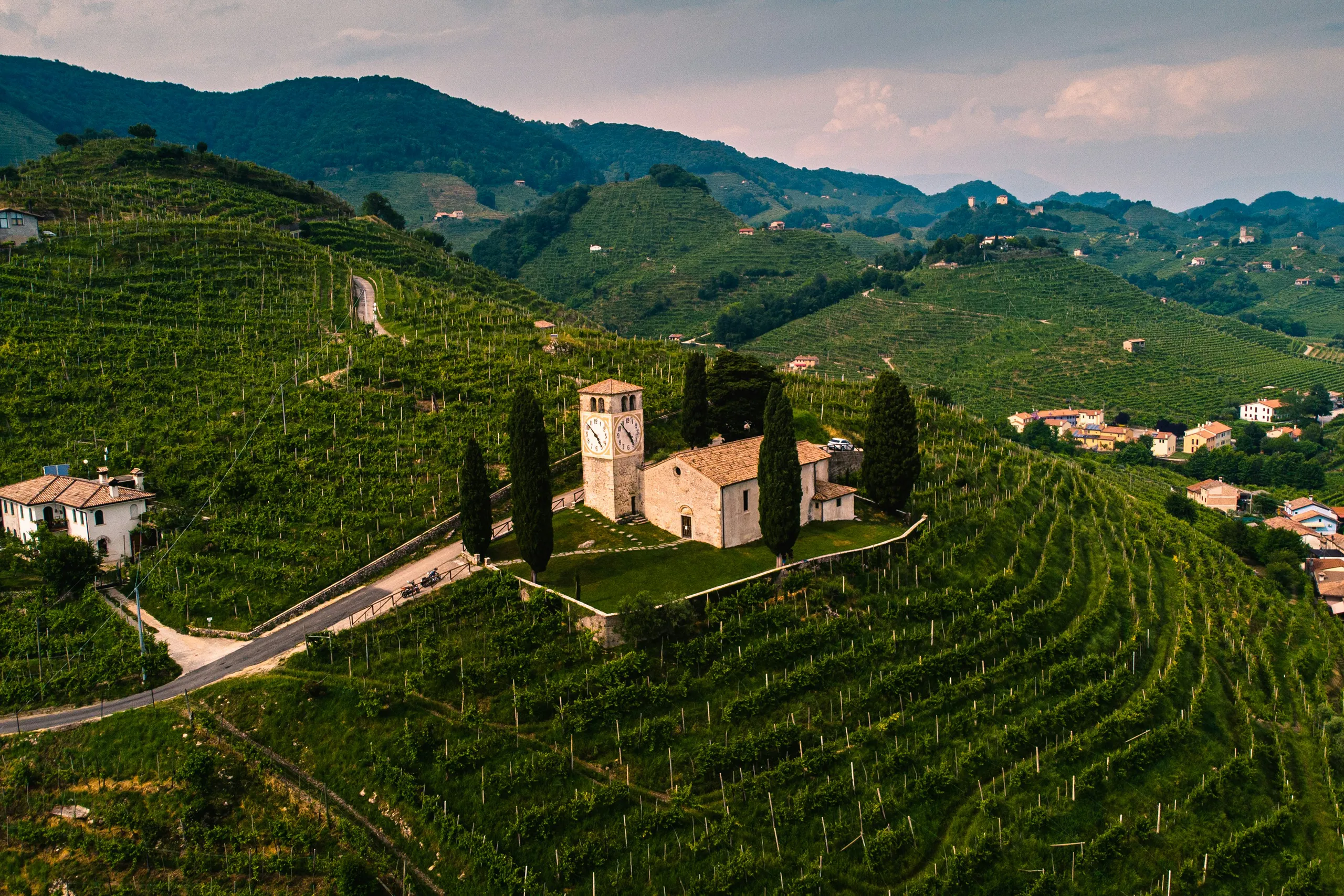 italian vineyard hillside and villas