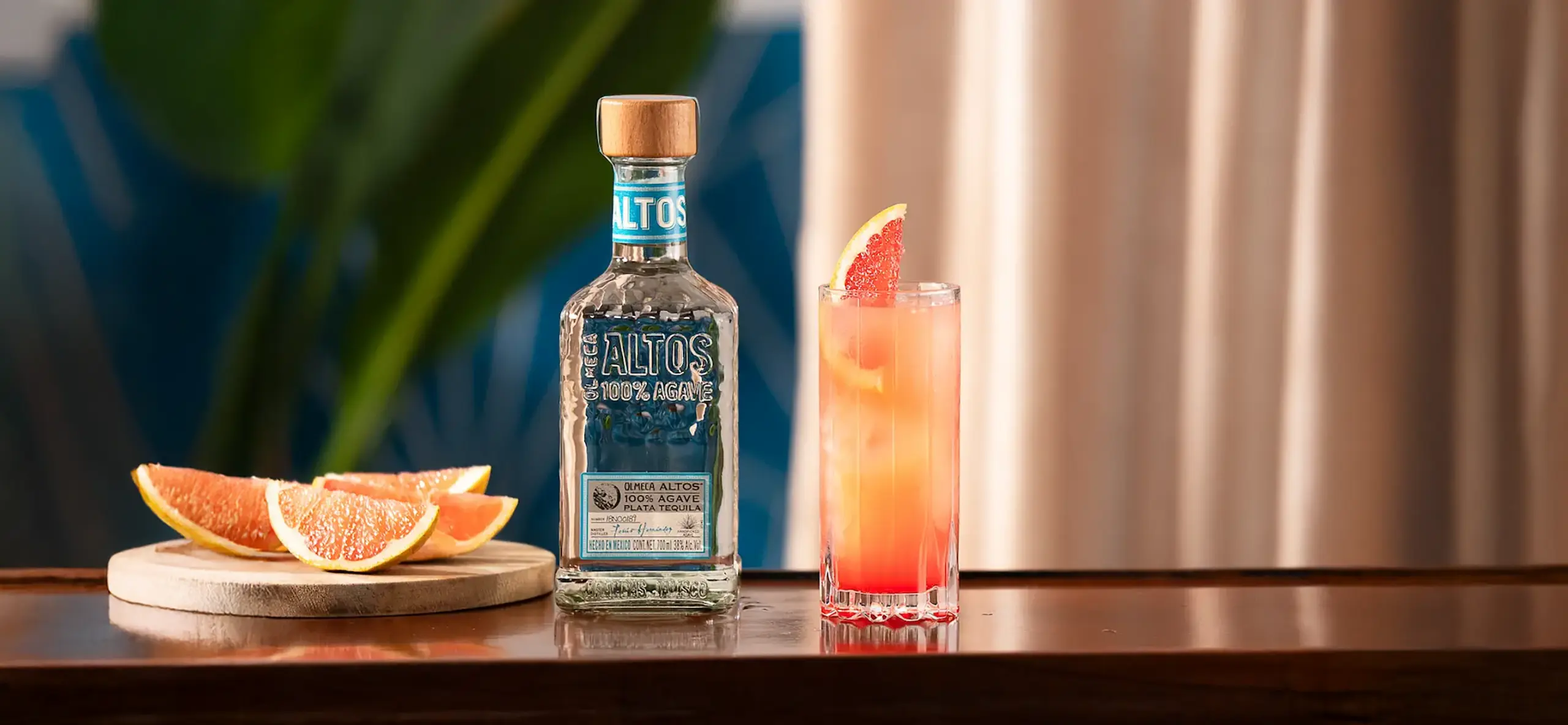olmeca altos tequila
