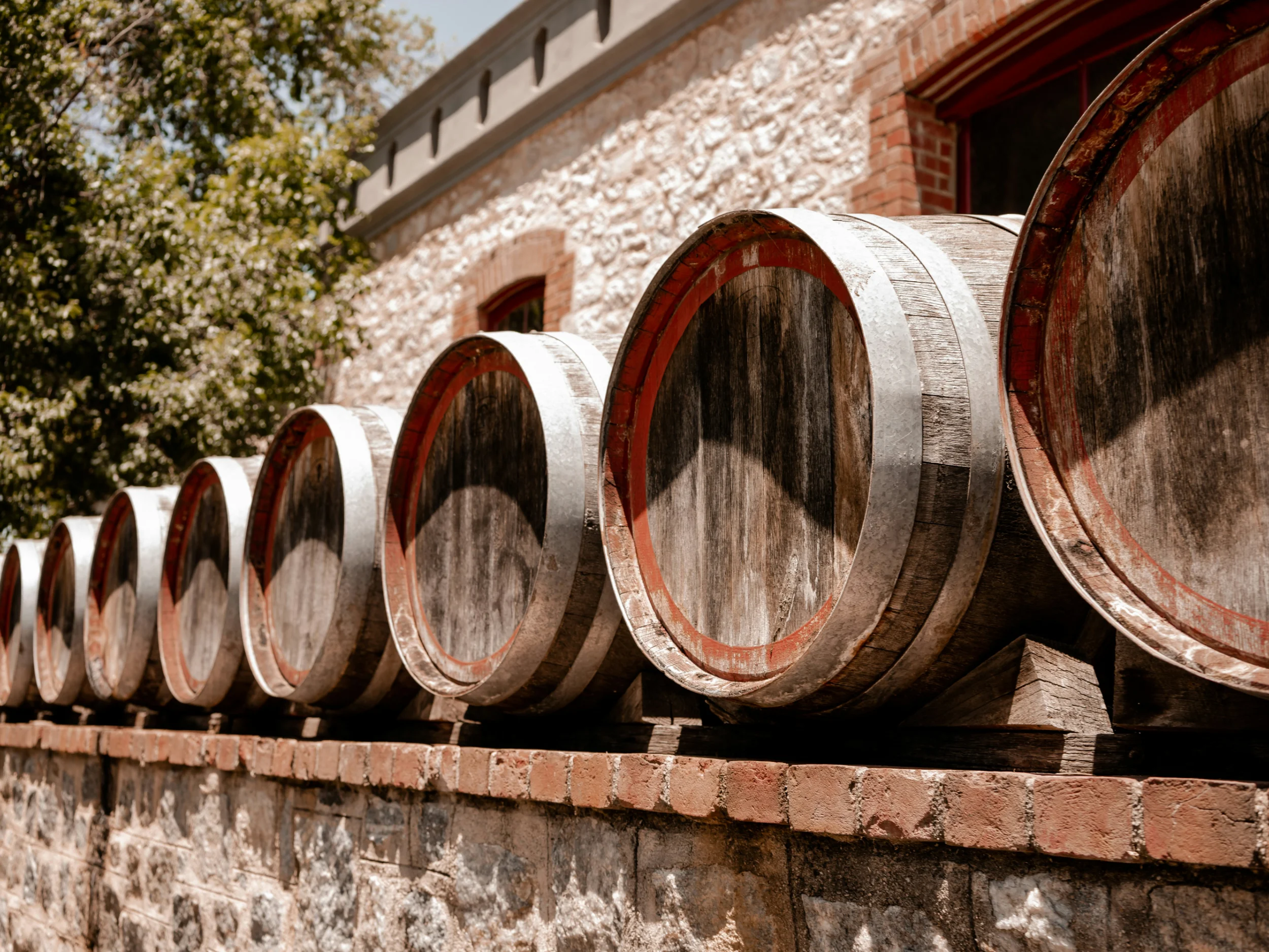 red wine barrels