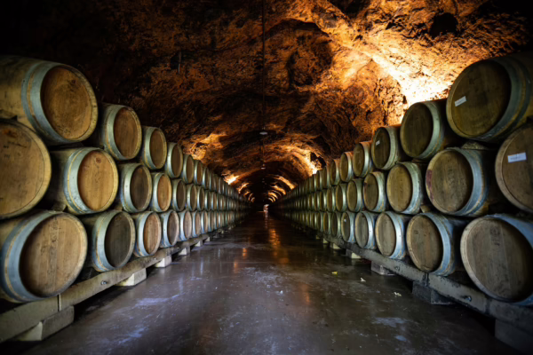 wine barrels under ground in cave