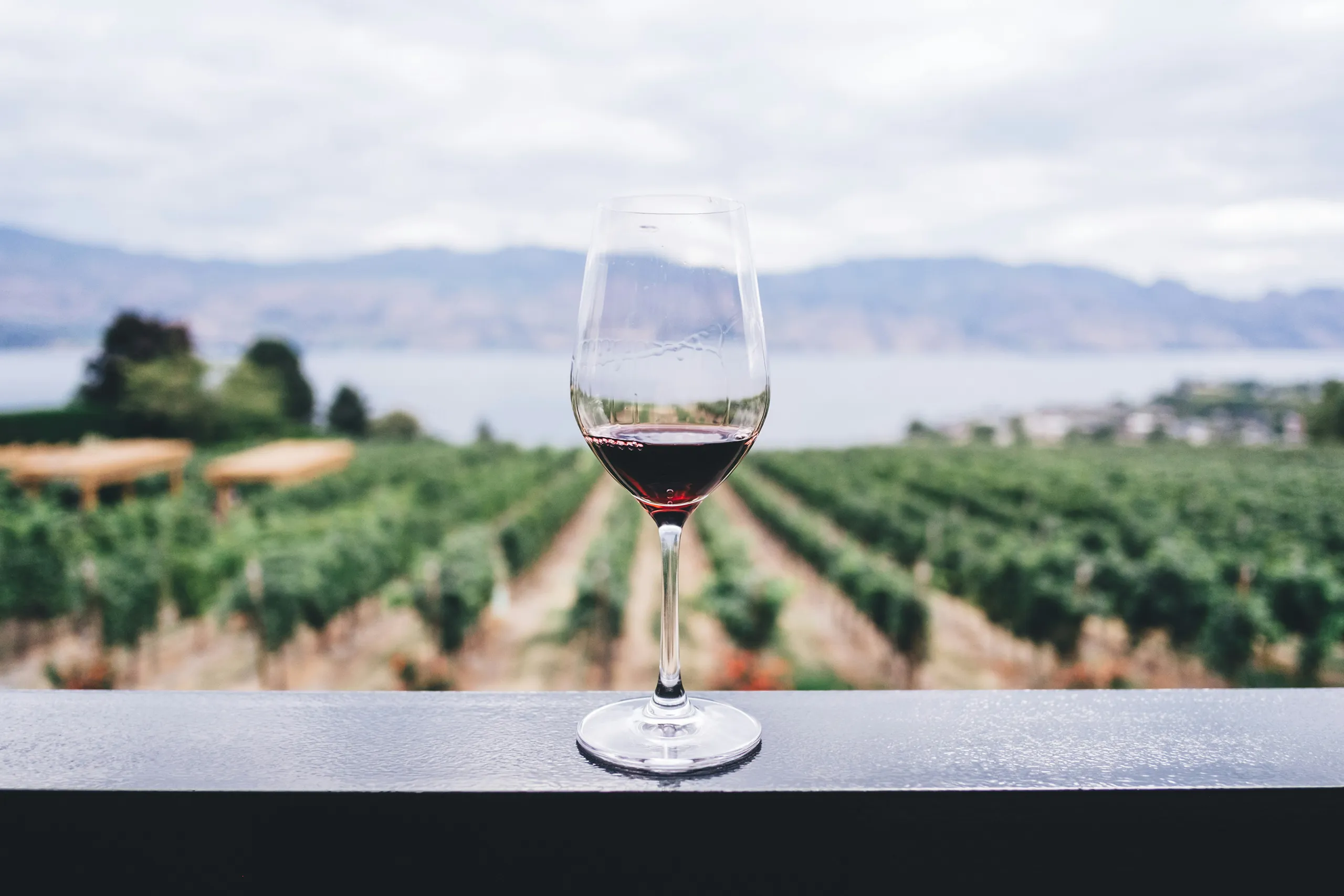 wine glass in front of vineyard with mountains and lake backdrop