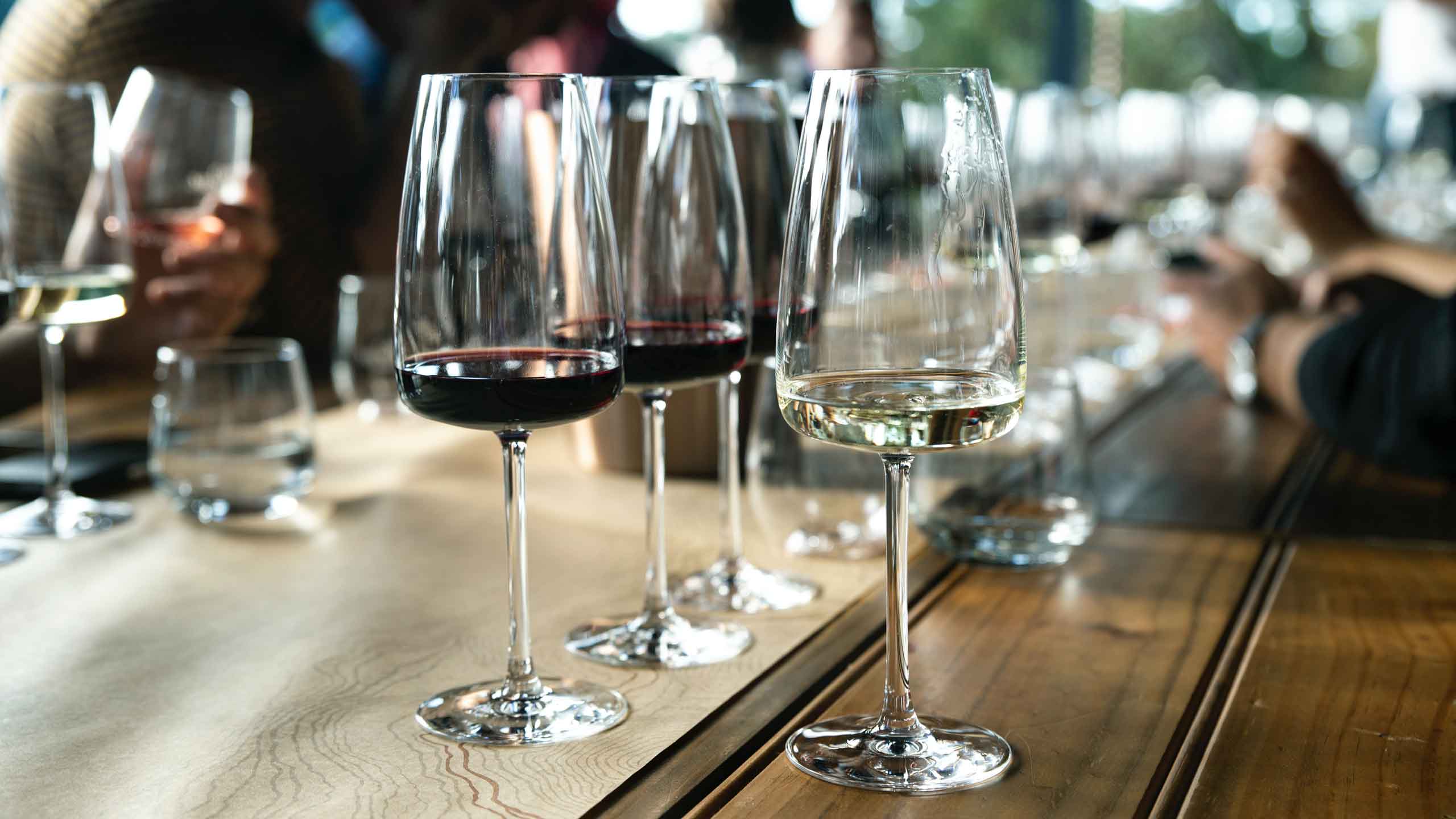 wine glasses for tasting on counter